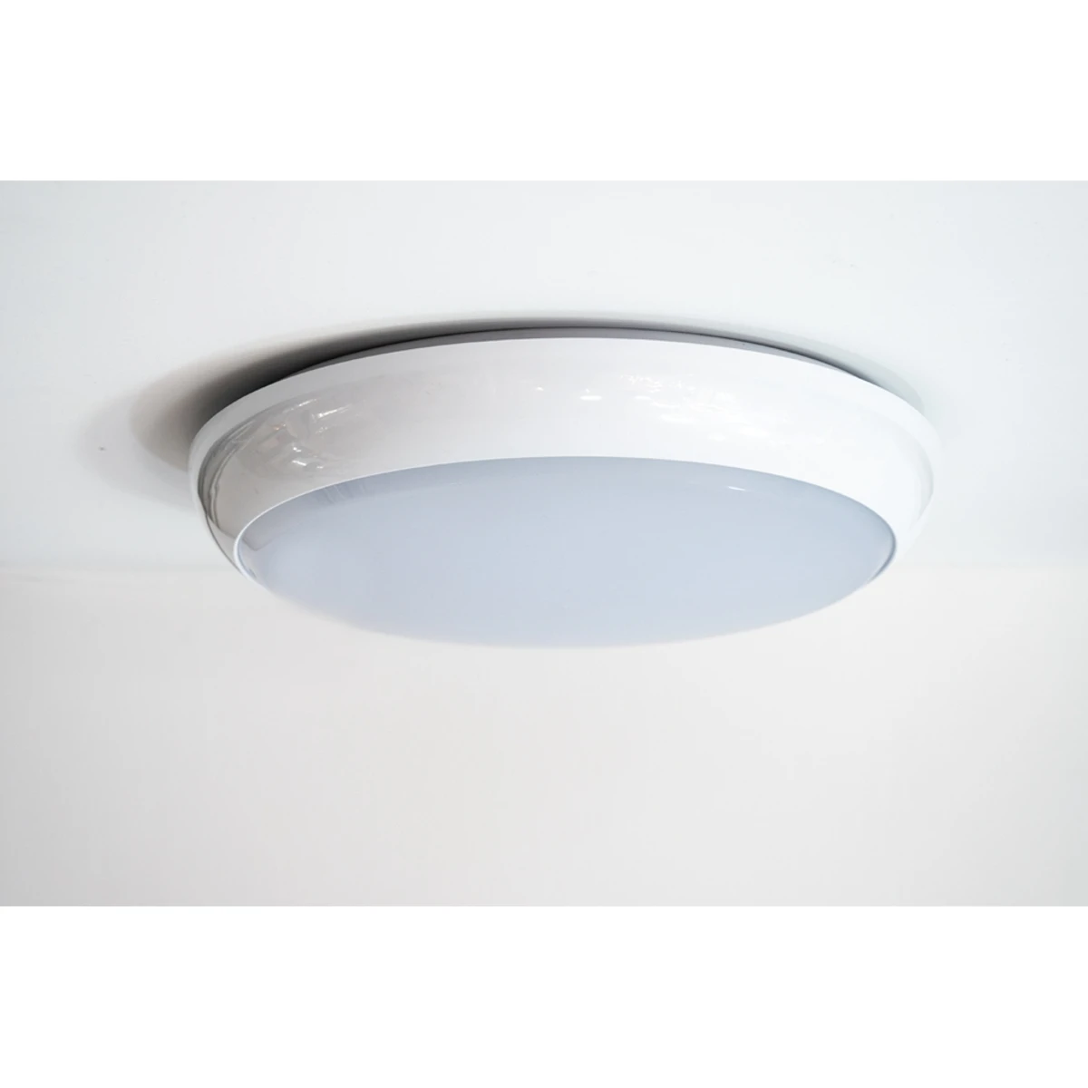 Pro-Light 18 W Bulkhead IP65 DR1102 1 Pro-Light 18 W Bulkhead IP65 DR1102